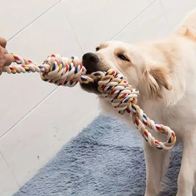 Jouet pour chien dans sa bouche qui tire et joue