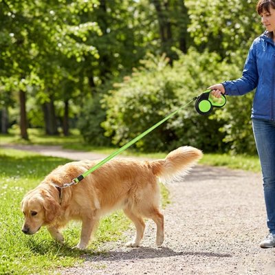 Laisse enrouleur chien Sécuri-Flex rétractable ajustable blocage sécurité promenade balade 4 – Lune et Museau