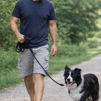 Longe pour Chien avec son maître