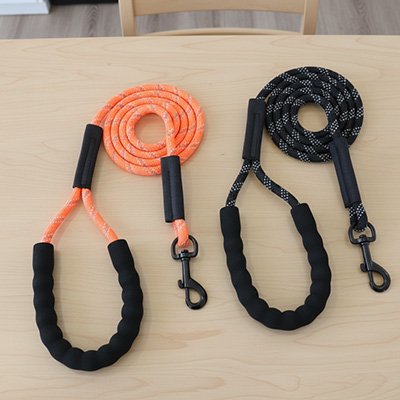Longe pour chien