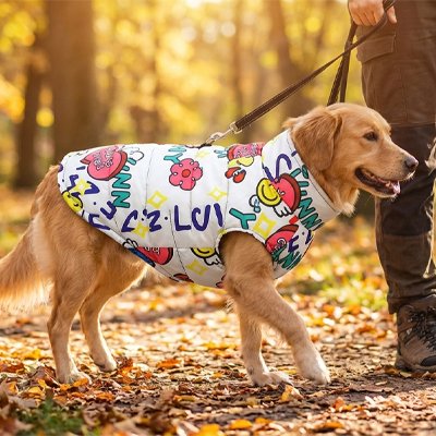 Manteau chien imperméable confort hiver automne printemps 3 saisons pluie froid 2 – Lune et Museau