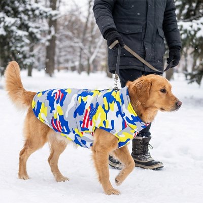 Manteau chien imperméable confort hiver automne printemps 3 saisons pluie froid – Lune et Museau
