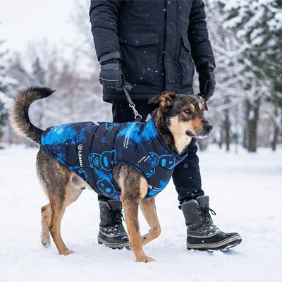 Manteau chien imperméable doublé chaud protection hivernale neige pluie petit grand chien  2– Lune et Museau