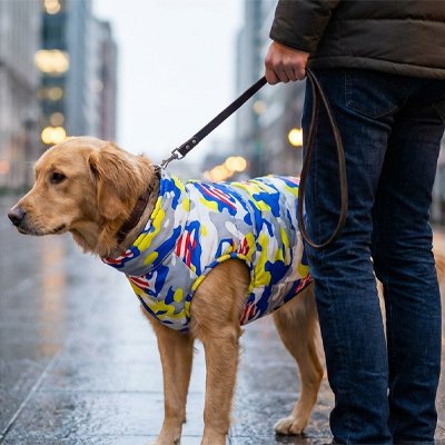 Manteau chien imperméable confort hiver automne printemps 3 saisons pluie froid 3 – Lune et Museau