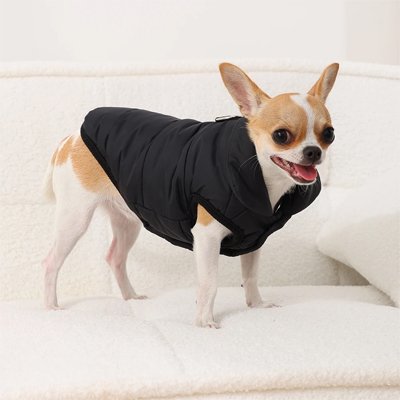 Manteau chien imperméable imperméabilisé 3 saisons pluie froid hiver automne printemps – vue 3 – Lune et Museau