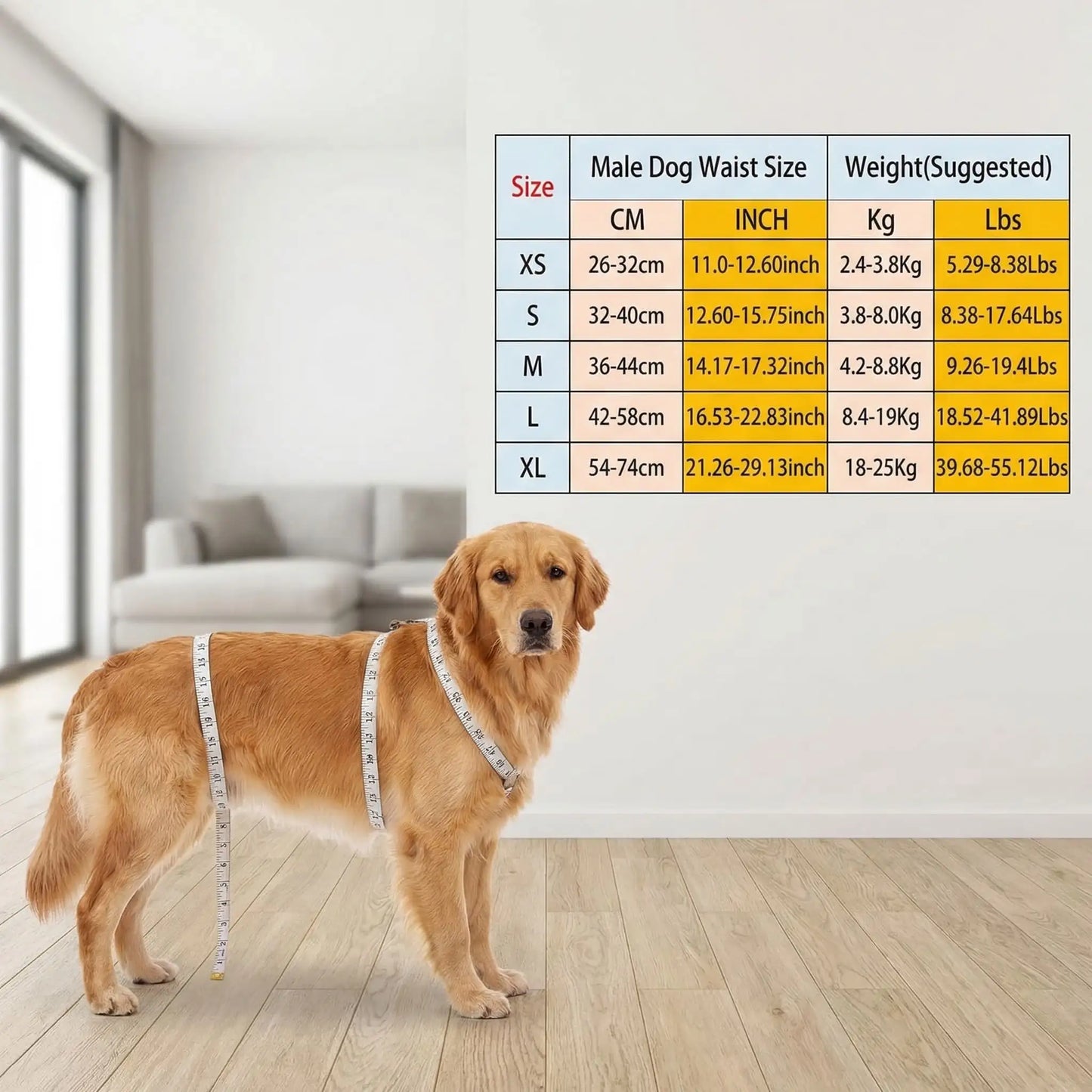Couche pour chien | Absorbante et confortable – vue 7 – Lune et Museau