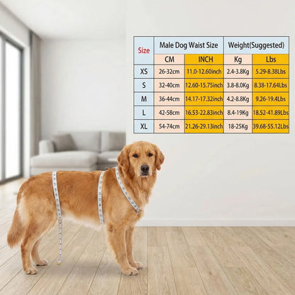 Couche pour chien | Absorbante et confortable – vue 7 – Lune et Museau