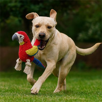 Peluche chien ultra-douce jouet intérieur extérieur doudou sécurisant réduction anxiété séparation – Lune et Museau