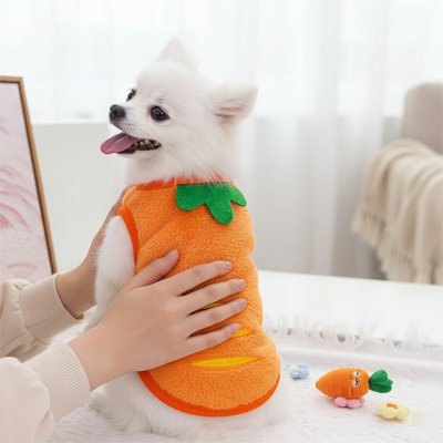 Pull pour chien