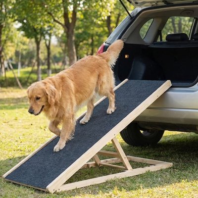 Rampe chien pliable antidérapante accès voiture canapé lit chien senior arthrose mobilité réduite 4 – Lune et Museau