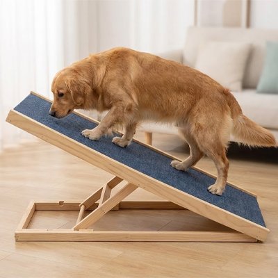 Rampe chien pliable antidérapante accès voiture canapé lit chien senior arthrose mobilité réduite – Lune et Museau