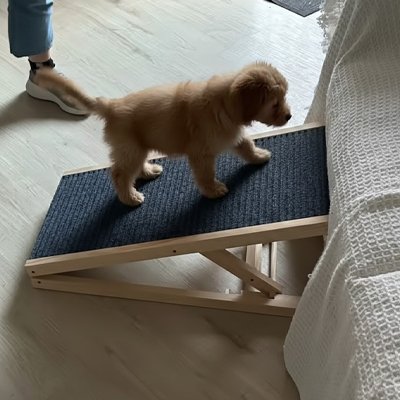 Rampe chien pliable antidérapante accès voiture canapé lit chien senior arthrose mobilité réduite 6– Lune et Museau