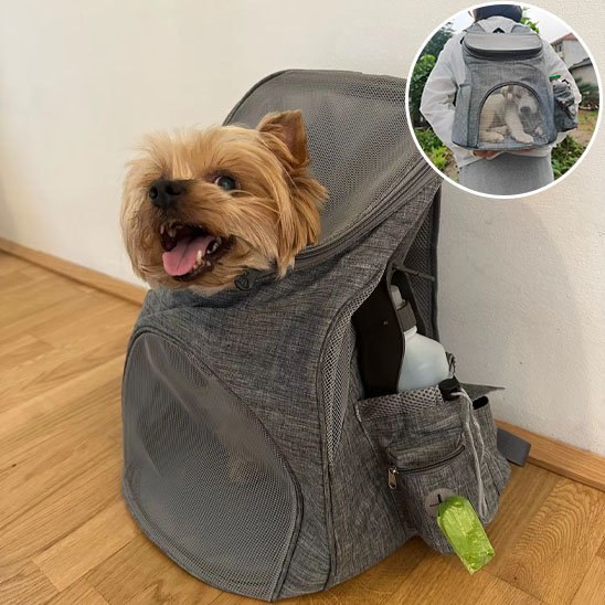 Sac à dos pour chien attente dans le corridor avec chien dedans 
