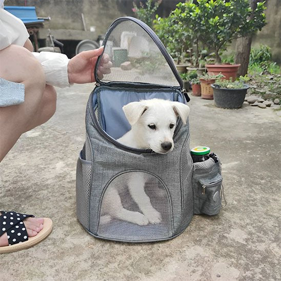 Sac à dos pour chien avec chien dedans 