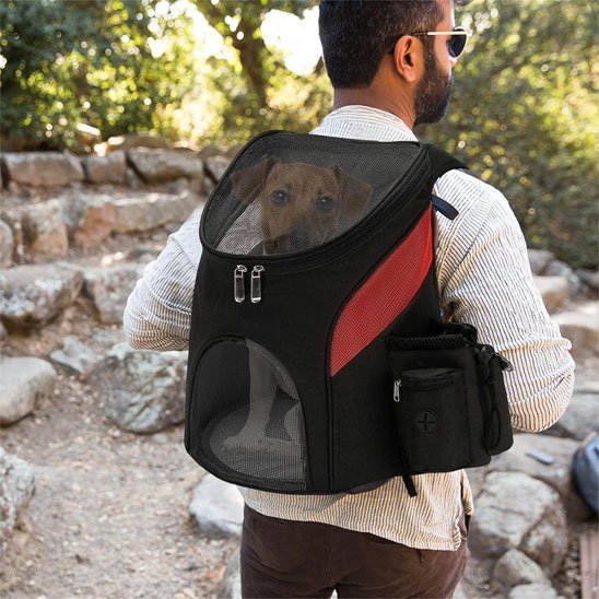 Sac à dos pour chien en promenade