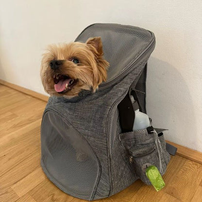 Sac à dos pour chien grsi avec chien dedans
