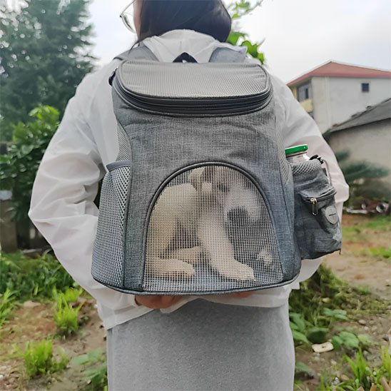 Sac à dos pour chien sur dos de son maître