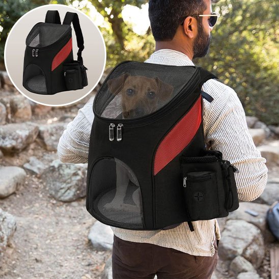 Sac à dos pour chien sur dos de son maître