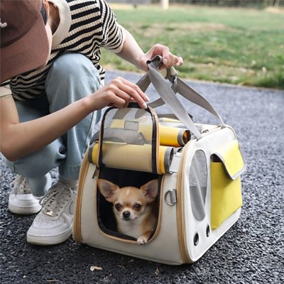 Sac de transport pour Chien avec petit chien dedans marche parc maître
