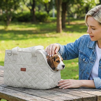 Sac de transport pour chien avec tête du chien qui sort