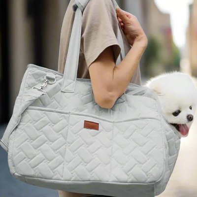 Sac de transport pour chien sur l'épaul,e du maître