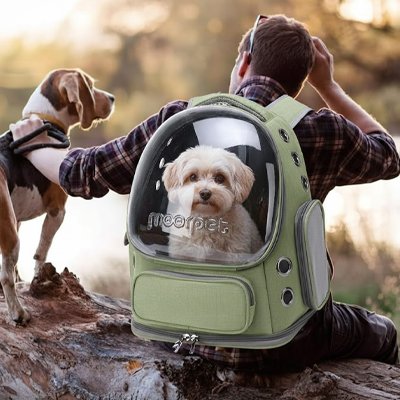 Sac transport Chien avec un autre chien plus gros pas dans le sac