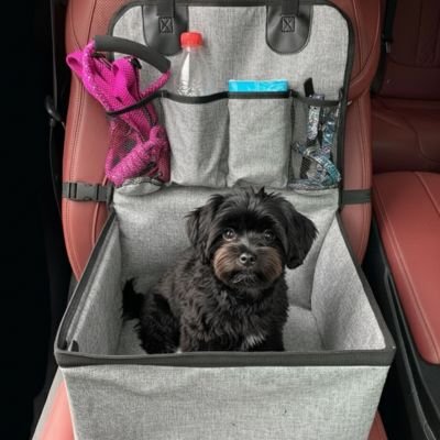 Siège auto pour chien Securipet – vue 3 – Lune et Museau