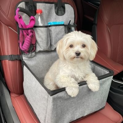 Siège auto pour chien Securipet – vue 4 – Lune et Museau