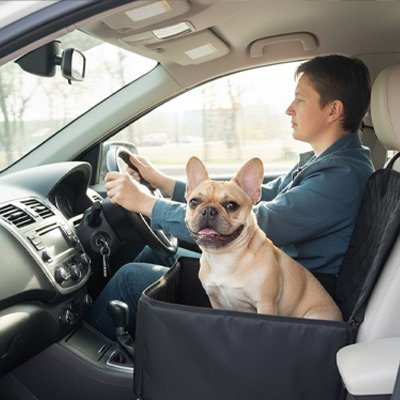Siège auto pour chien SecuriPaws sécurisé confortable trajet voiture –  vue 2 - Lune et Museau