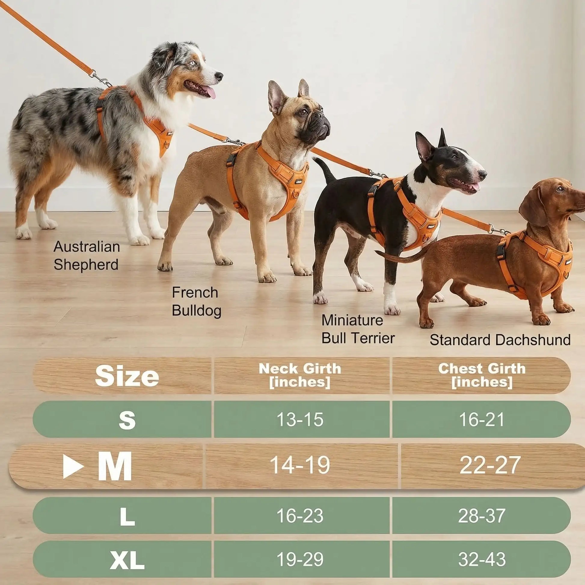 Harnais chien confort sécurité anti-traction sangles ajustables promenade 7 – Lune et Museau