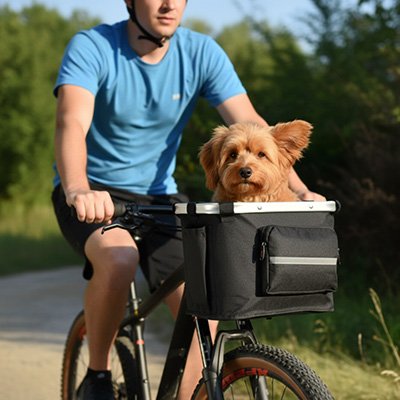 Panier vélo chien sécurisé transport petit chien balade promenade urbaine 2 – Lune et Museau